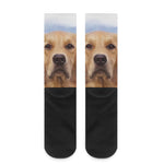 Golden Retriever Portrait Print Crew Socks