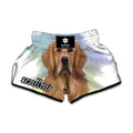 Golden Retriever Portrait Print Muay Thai Boxing Shorts