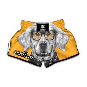 Golden Retriever With Glasses Print Muay Thai Boxing Shorts