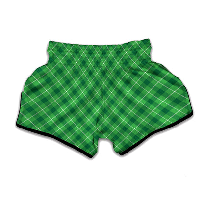 Green And White Plaid Pattern Print Muay Thai Boxing Shorts
