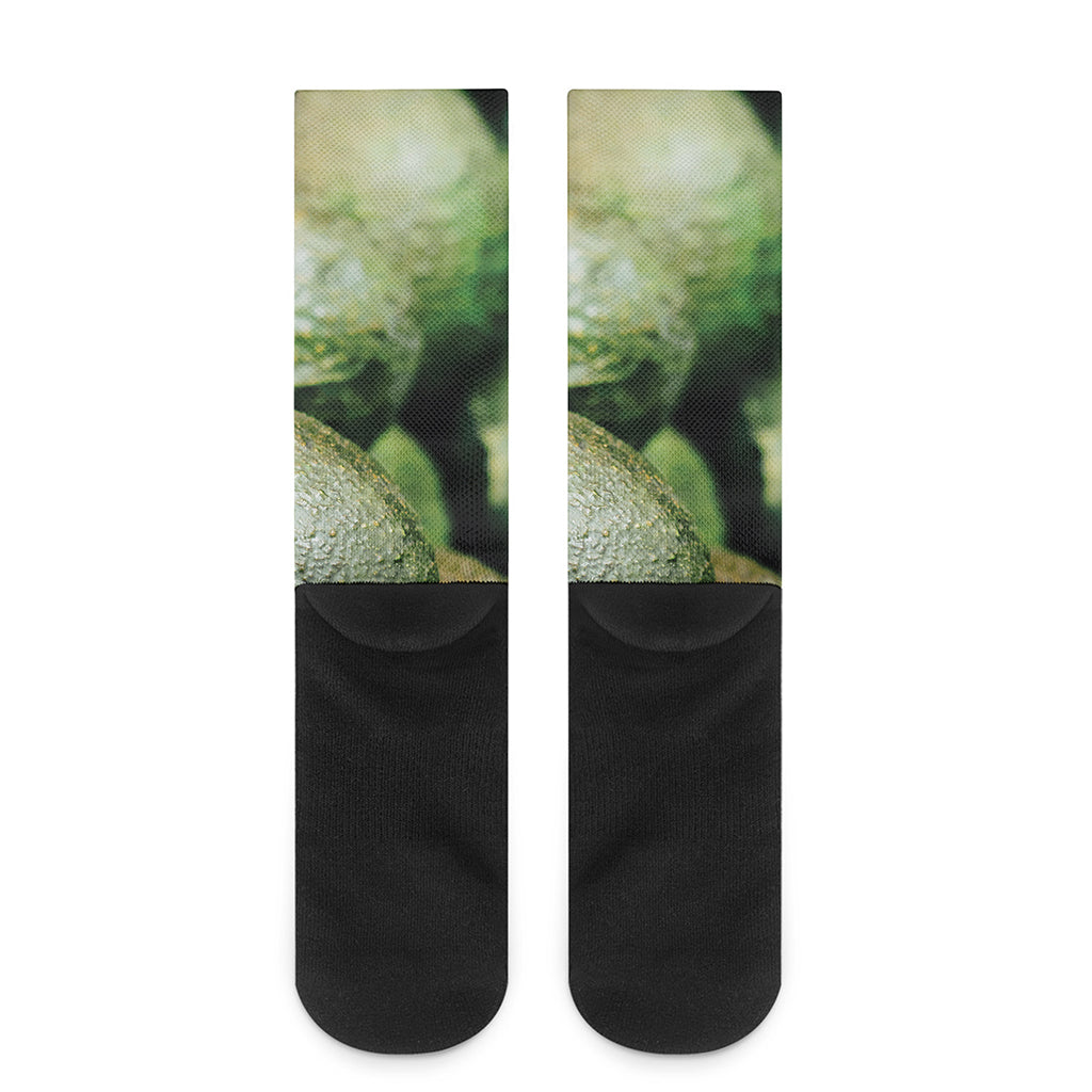 Green Avocado Print Crew Socks