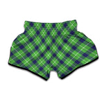Green Blue And White Plaid Pattern Print Muay Thai Boxing Shorts