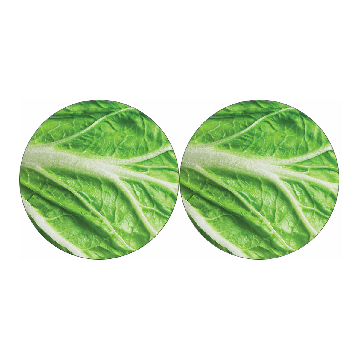 Green Cabbage Leaf Print Car Coasters