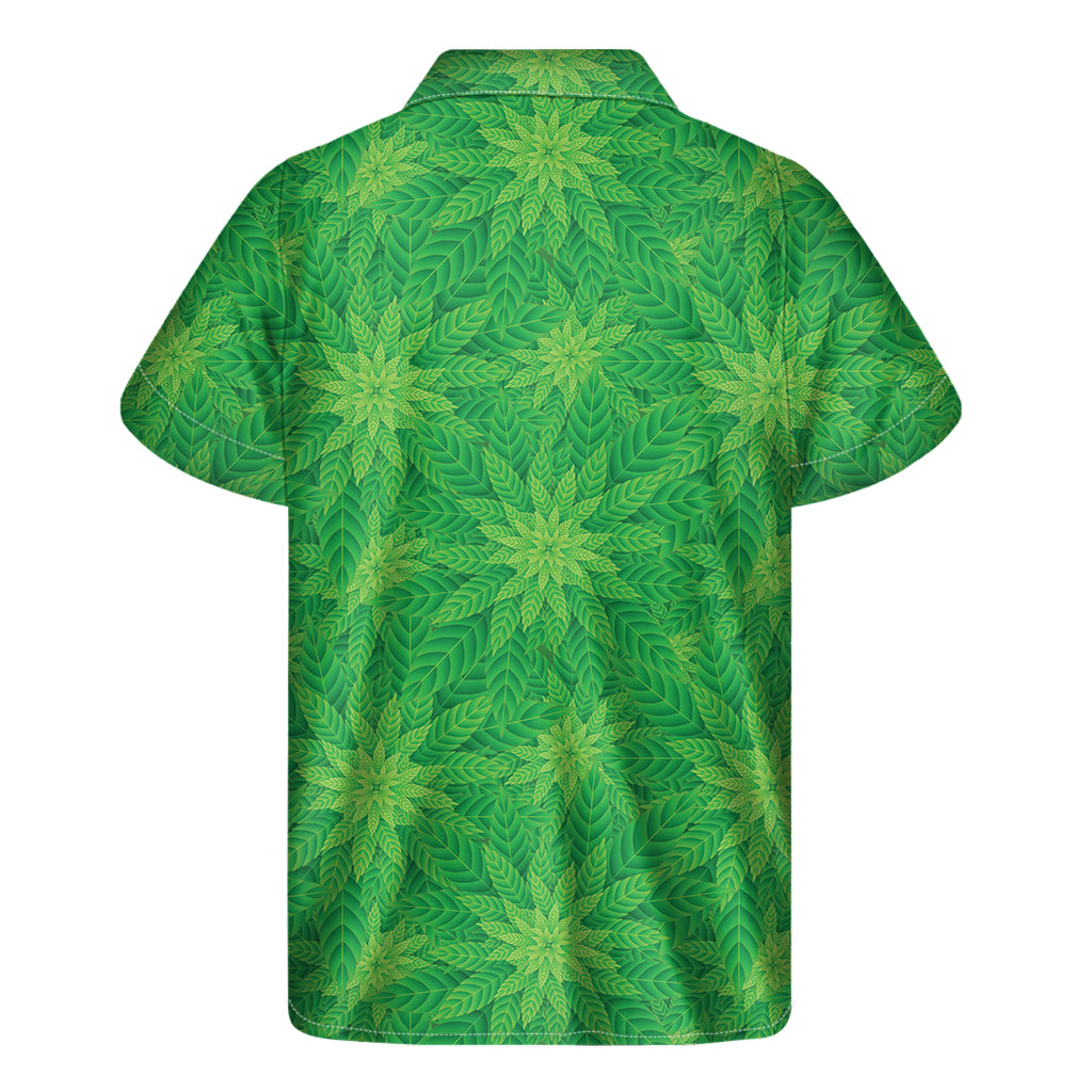 Green Cannabis Leaf Pattern Print Men's Short Sleeve Shirt