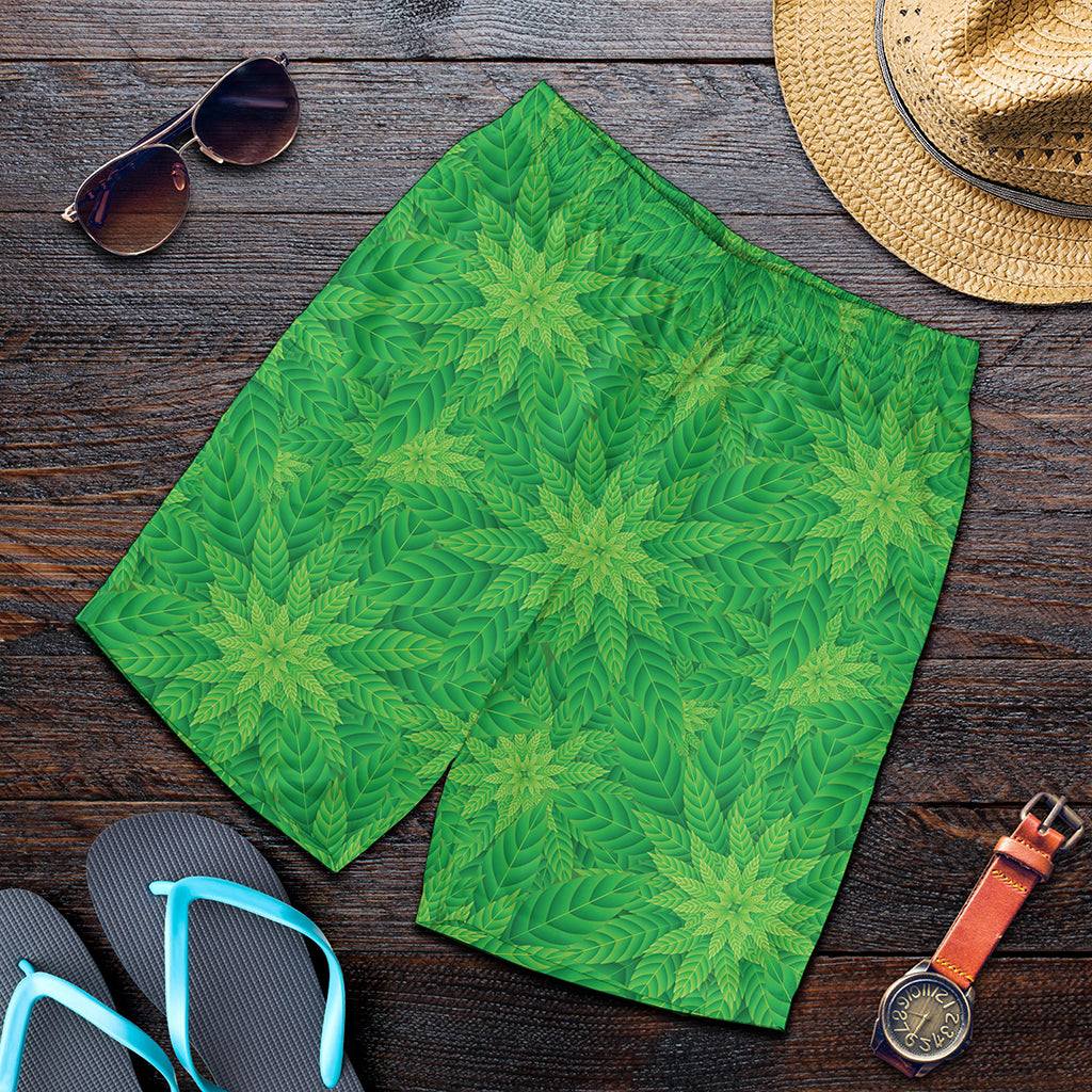 Green Cannabis Leaf Pattern Print Men's Shorts