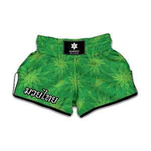 Green Cannabis Leaf Pattern Print Muay Thai Boxing Shorts