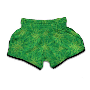 Green Cannabis Leaf Pattern Print Muay Thai Boxing Shorts