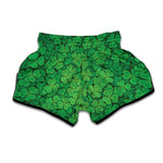Green Clover St. Patrick's Day Print Muay Thai Boxing Shorts