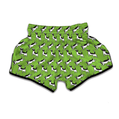 Green Doodle Bull Terrier Pattern Print Muay Thai Boxing Shorts