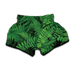 Green Fern Leaf Print Muay Thai Boxing Shorts
