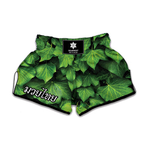 Green Ivy Leaf Print Muay Thai Boxing Shorts