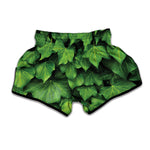Green Ivy Leaf Print Muay Thai Boxing Shorts