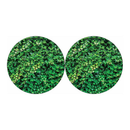 Green Ivy Wall Print Car Coasters