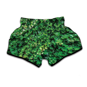 Green Ivy Wall Print Muay Thai Boxing Shorts
