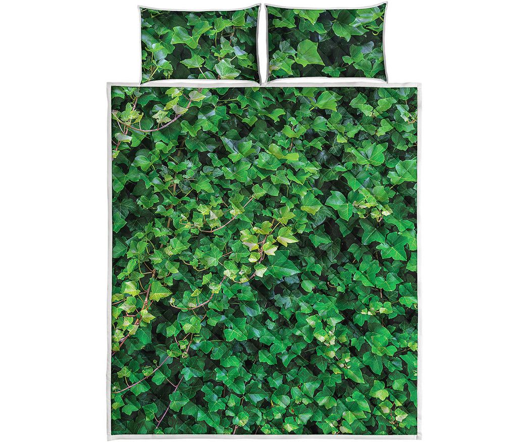 Green Ivy Wall Print Quilt Bed Set