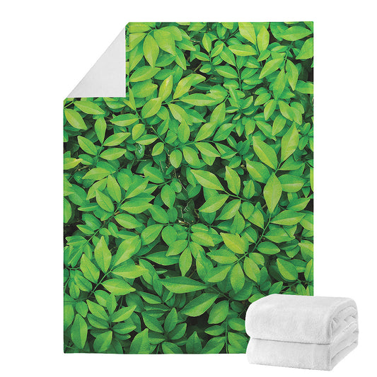 Green Leaf Print Blanket