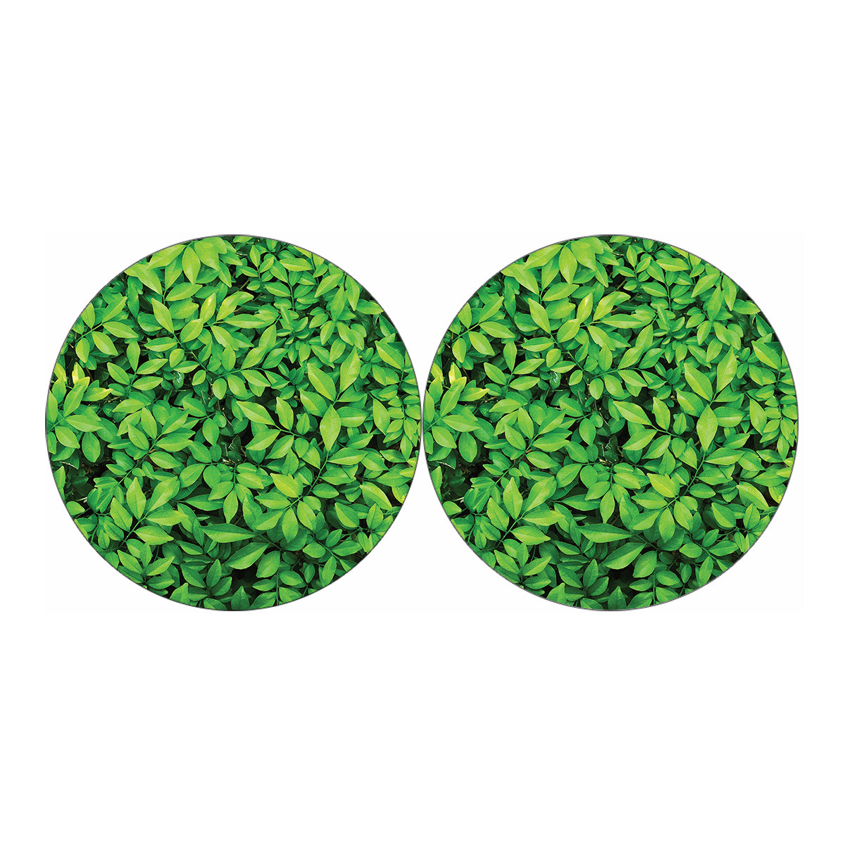 Green Leaf Print Car Coasters