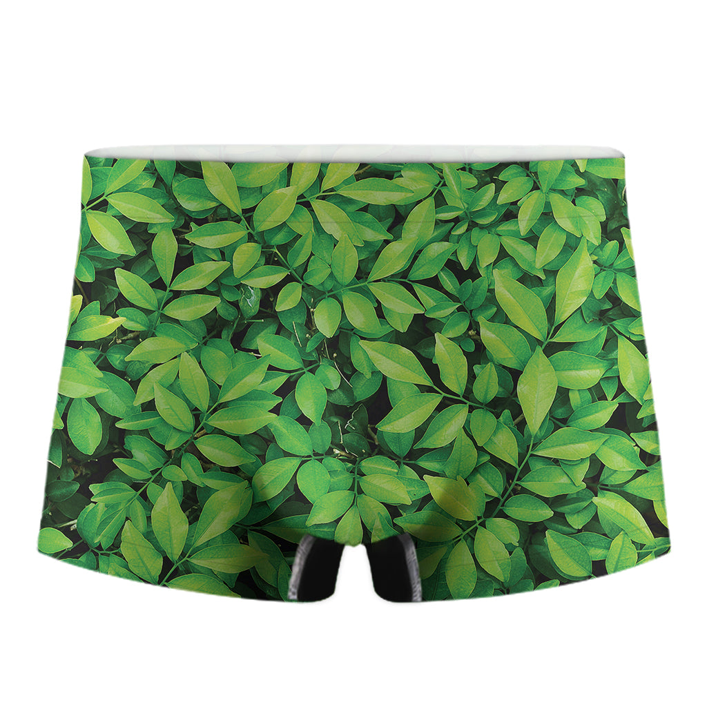 Green Leaf Print Men's Boxer Briefs