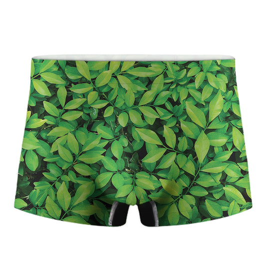 Green Leaf Print Men's Boxer Briefs