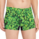 Green Leaf Print Men's Boxer Briefs