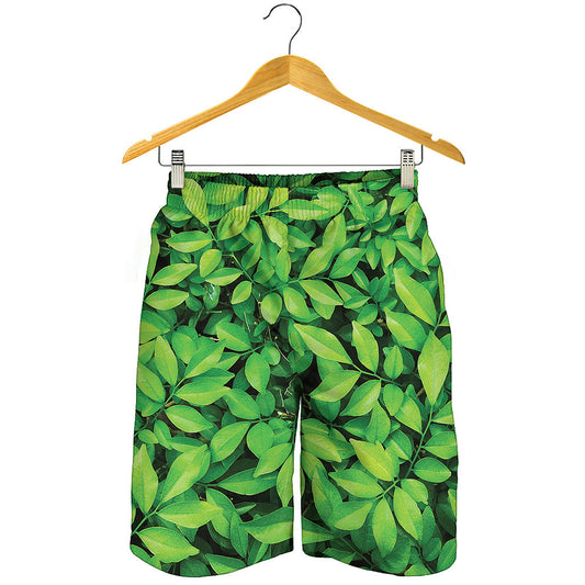 Green Leaf Print Men's Shorts