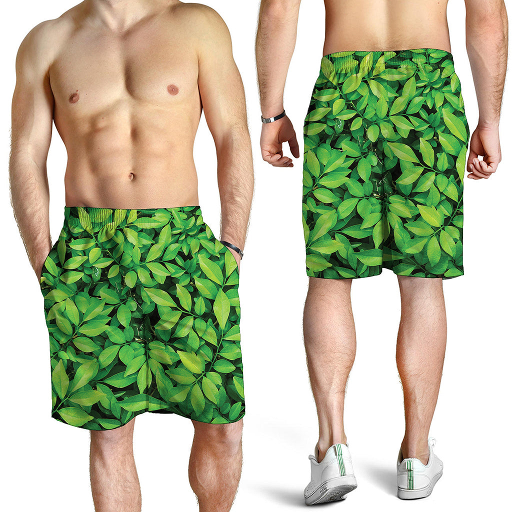 Green Leaf Print Men's Shorts
