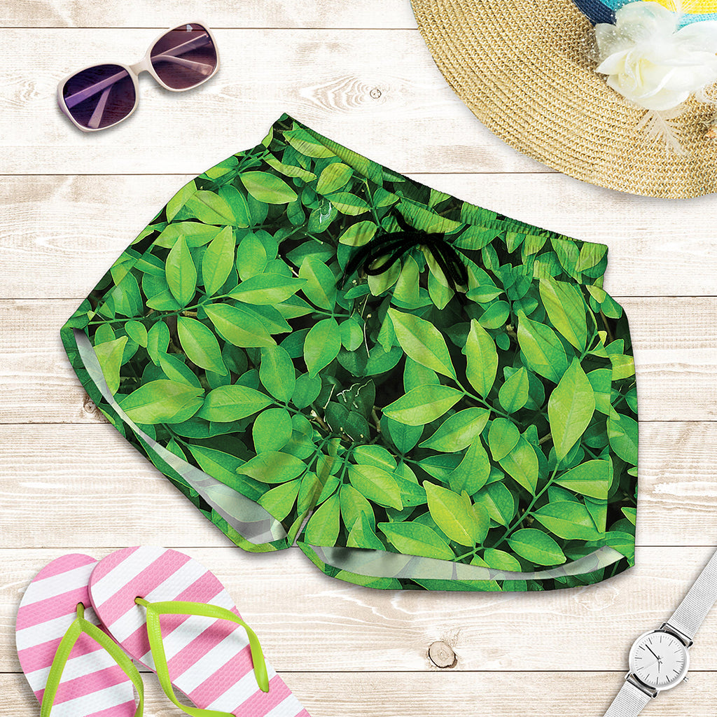 Green Leaf Print Women's Shorts