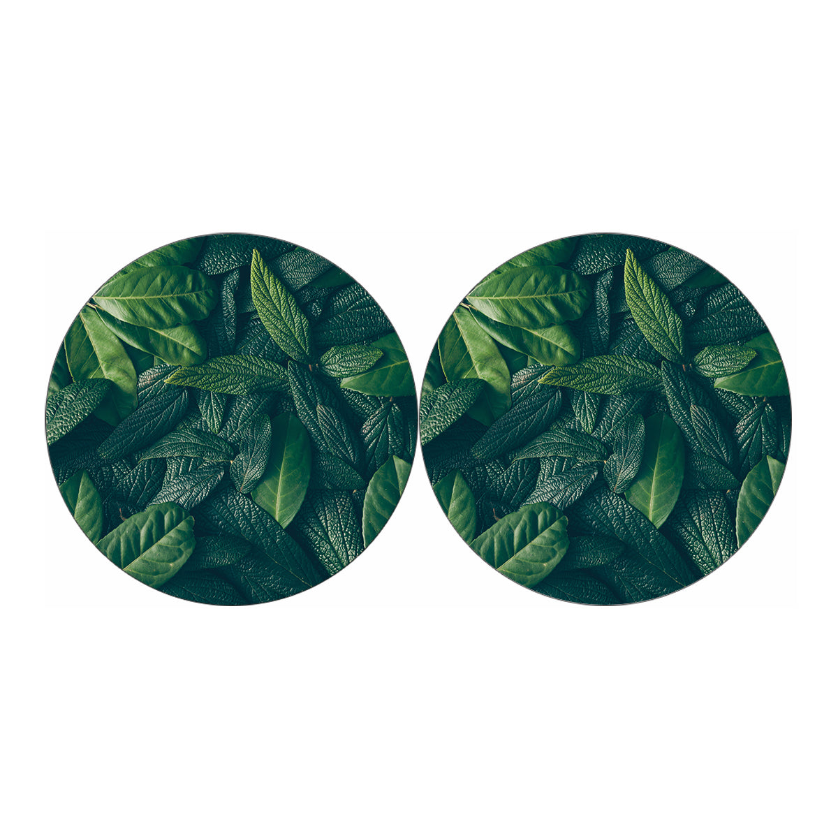 Green Leaves Print Car Coasters