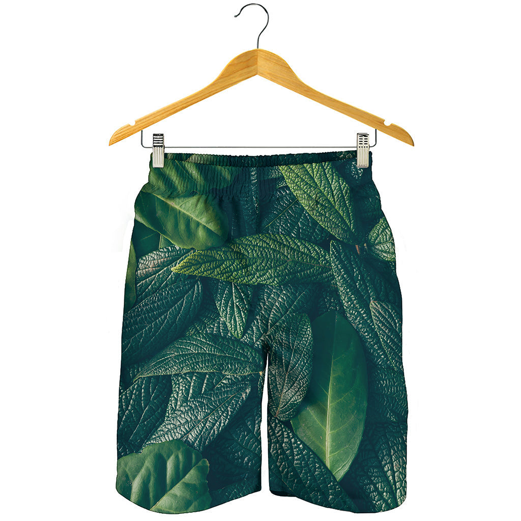 Green Leaves Print Men's Shorts