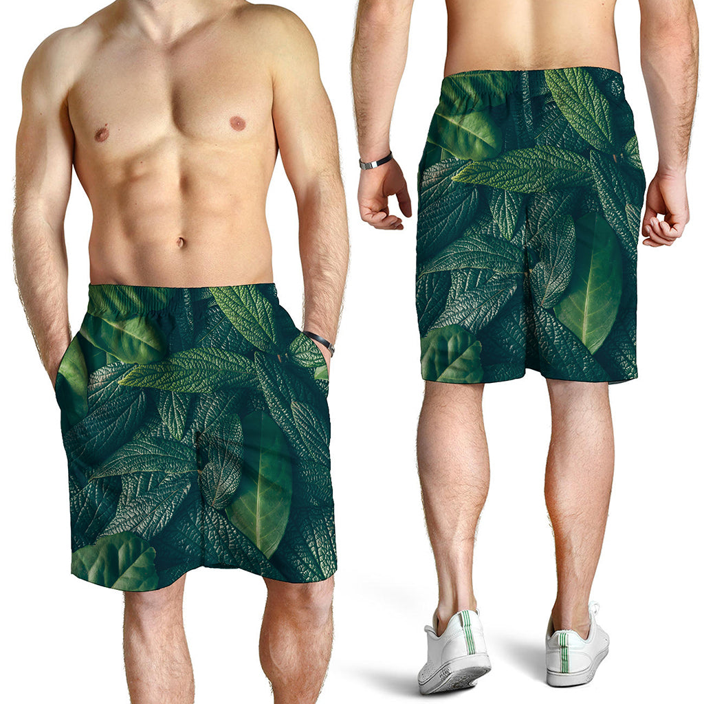 Green Leaves Print Men's Shorts