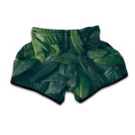 Green Leaves Print Muay Thai Boxing Shorts