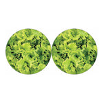 Green Lettuce Salad Print Car Coasters