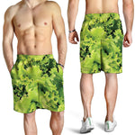 Green Lettuce Salad Print Men's Shorts
