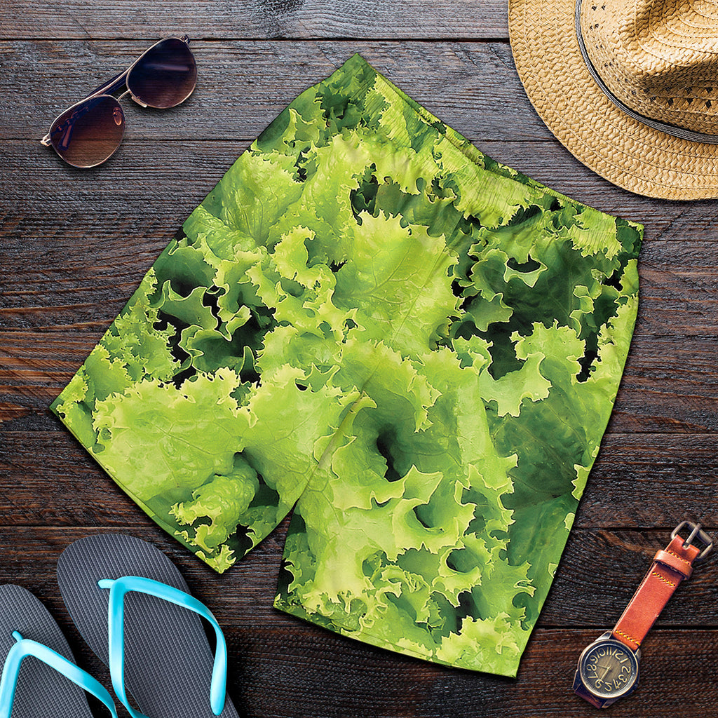 Green Lettuce Salad Print Men's Shorts