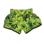 Green Lettuce Salad Print Muay Thai Boxing Shorts