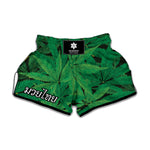 Green Marijuana Leaf Print Muay Thai Boxing Shorts