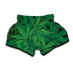 Green Marijuana Leaf Print Muay Thai Boxing Shorts
