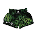 Green Monstera Leaf Print Muay Thai Boxing Shorts