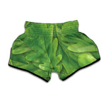 Green Oak Leaf Print Muay Thai Boxing Shorts