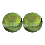 Green Pit Viper Print Car Coasters