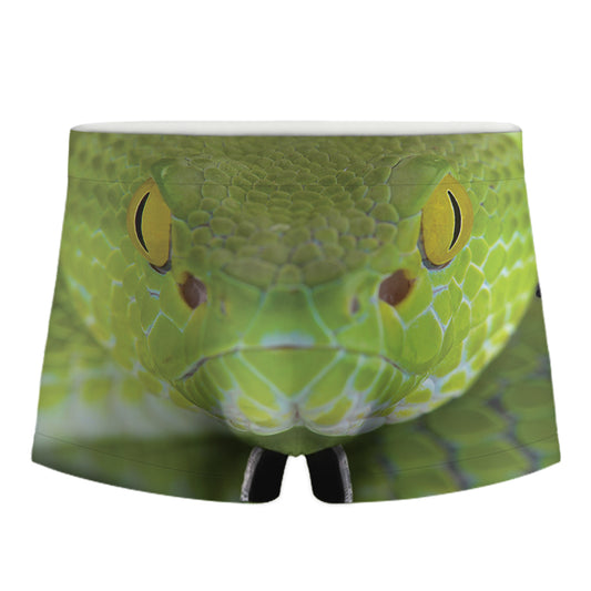 Green Pit Viper Print Men's Boxer Briefs