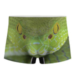 Green Pit Viper Print Men's Boxer Briefs