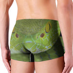 Green Pit Viper Print Men's Boxer Briefs