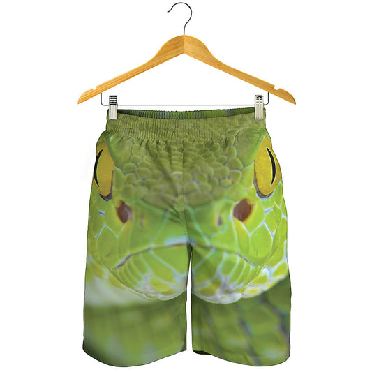 Green Pit Viper Print Men's Shorts