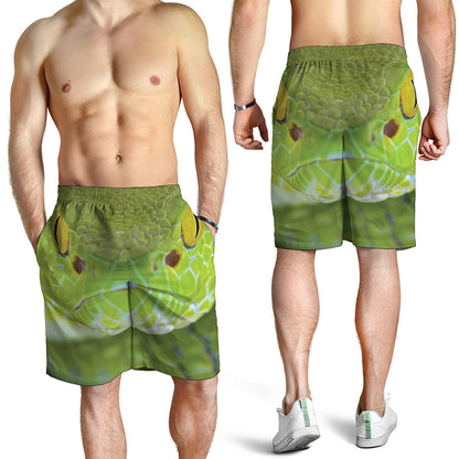 Green Pit Viper Print Men's Shorts