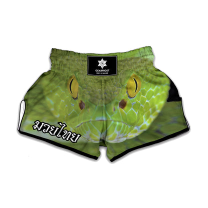 Green Pit Viper Print Muay Thai Boxing Shorts