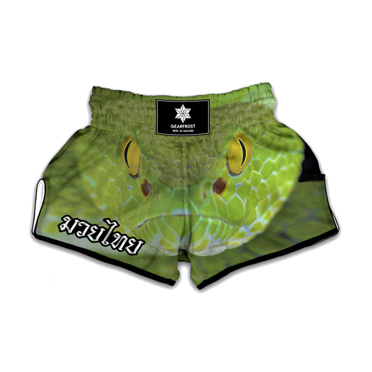 Green Pit Viper Print Muay Thai Boxing Shorts