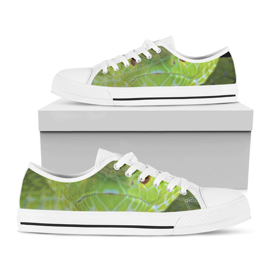 Green Pit Viper Print White Low Top Shoes