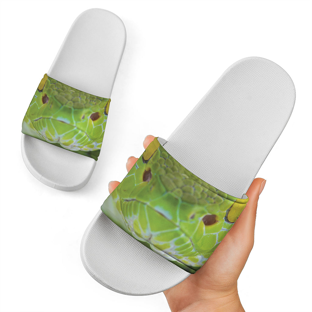 Green Pit Viper Print White Slide Sandals