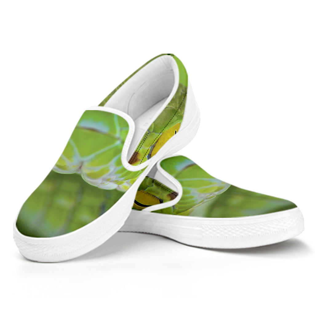 Green Pit Viper Print White Slip On Shoes